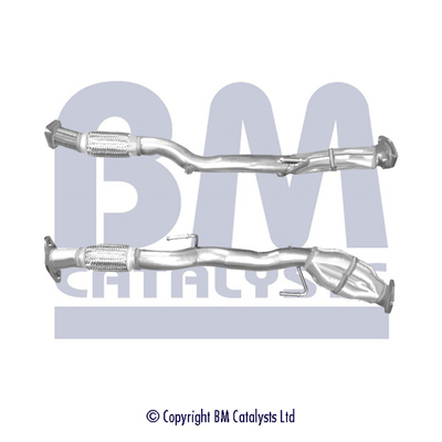 BM Catalysts BM50262