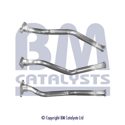 BM Catalysts BM50251