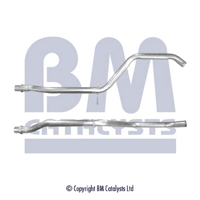 BM Catalysts BM50245