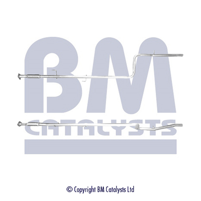 BM Catalysts BM50217