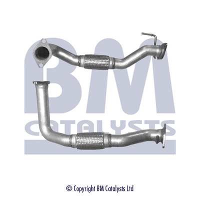 BM Catalysts BM50214