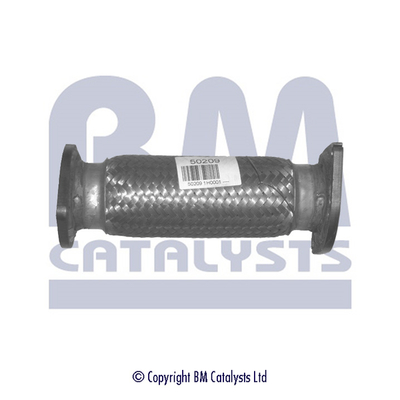 BM Catalysts BM50209