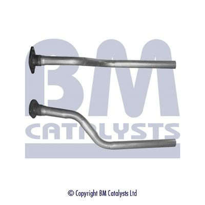 BM Catalysts BM50206