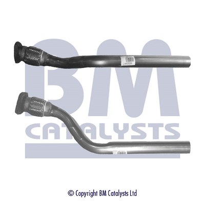 BM Catalysts BM50204