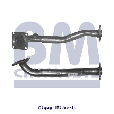 BM Catalysts BM50174