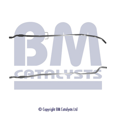 BM Catalysts BM50163