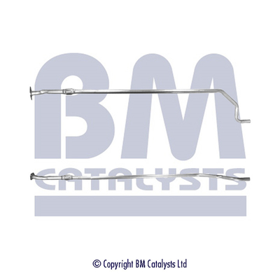 BM Catalysts BM50107