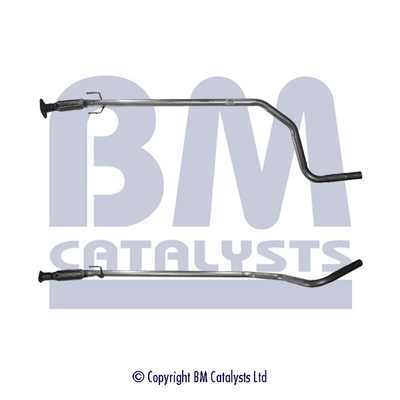 BM Catalysts BM50101