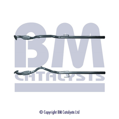 BM Catalysts BM50100