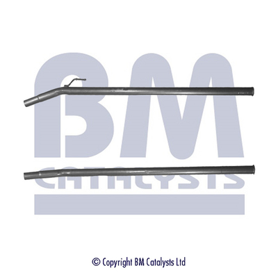 BM Catalysts BM50091