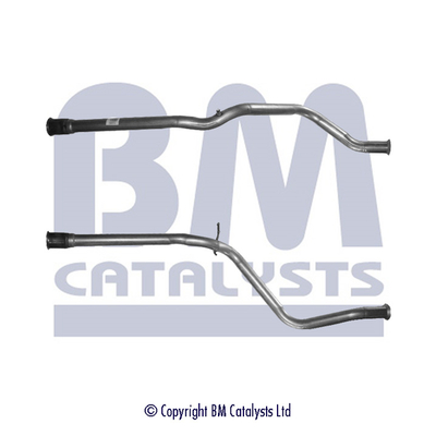 BM Catalysts BM50089