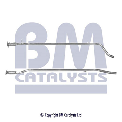 BM Catalysts BM50025