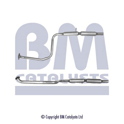 BM Catalysts BM50010