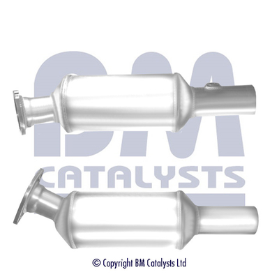 BM Catalysts BM11366P