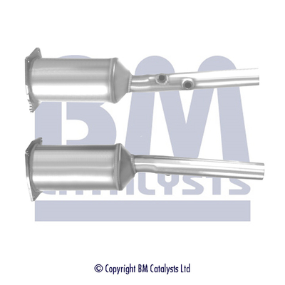 BM Catalysts BM11318PK