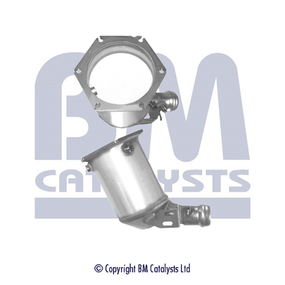 BM Catalysts BM11138P