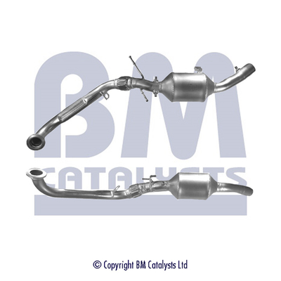 BM Catalysts BM11115P