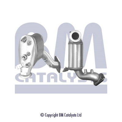 BM Catalysts BM11113K