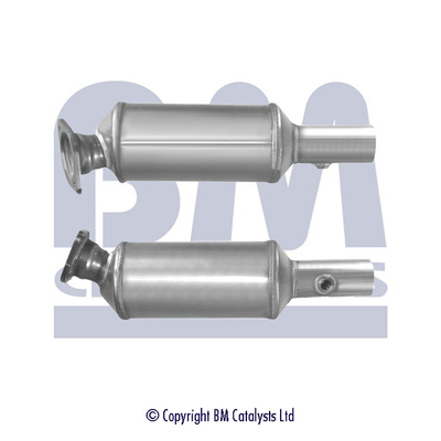 BM Catalysts BM11100P