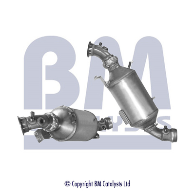 BM Catalysts BM11029P