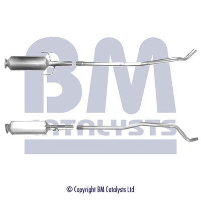 BM Catalysts BM11020P