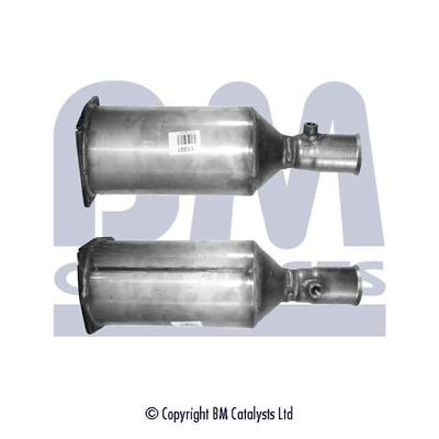 BM Catalysts BM11001