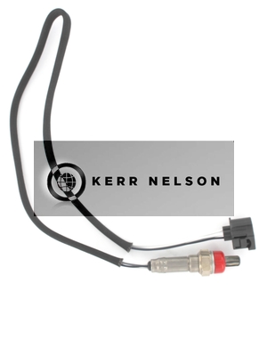 Kerr Nelson KNL273