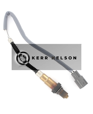 Kerr Nelson KNL319