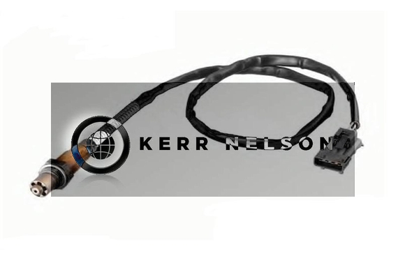 Kerr Nelson KNL484