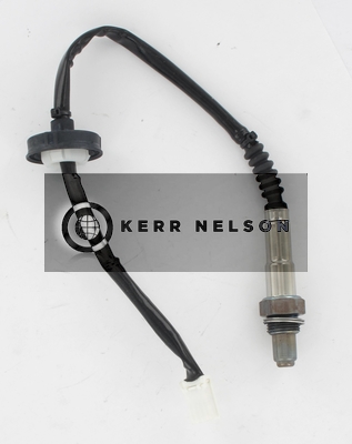 Kerr Nelson KNL684