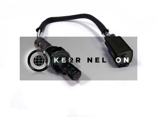 Kerr Nelson KNL698