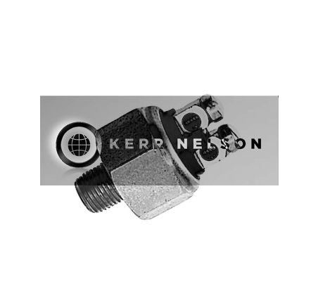 Kerr Nelson SBL007