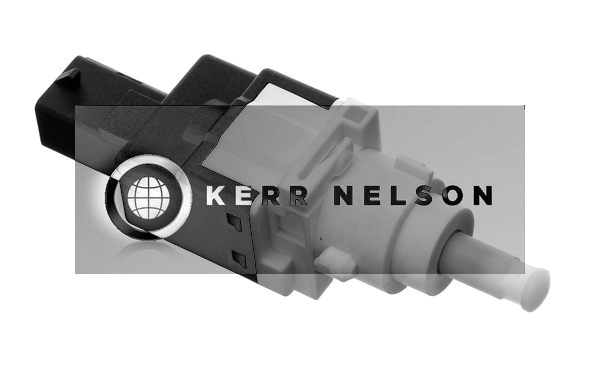 Kerr Nelson SBL031