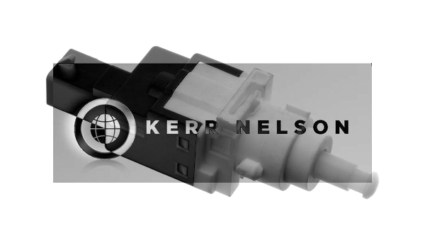 Kerr Nelson SBL093