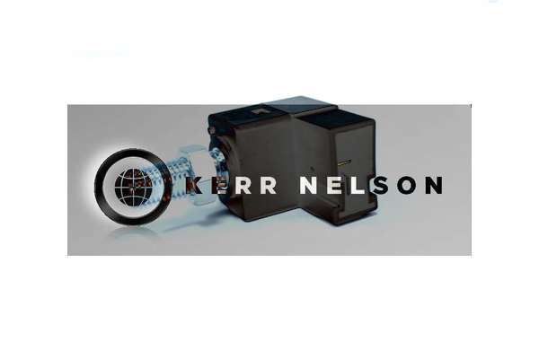 Kerr Nelson SBL196