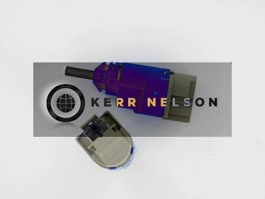 Kerr Nelson SBL199