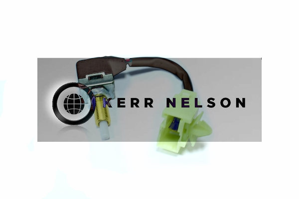 Kerr Nelson SBL228