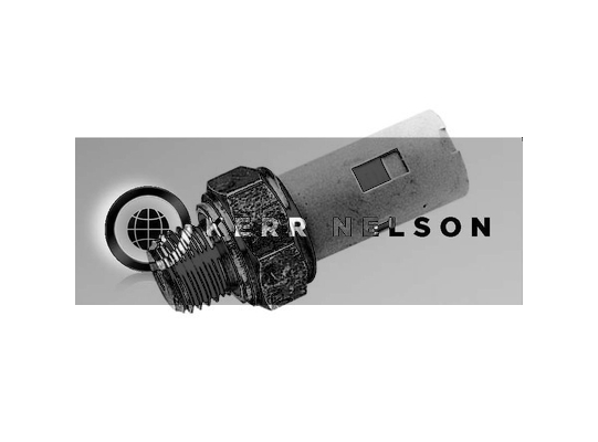 Kerr Nelson SOP133