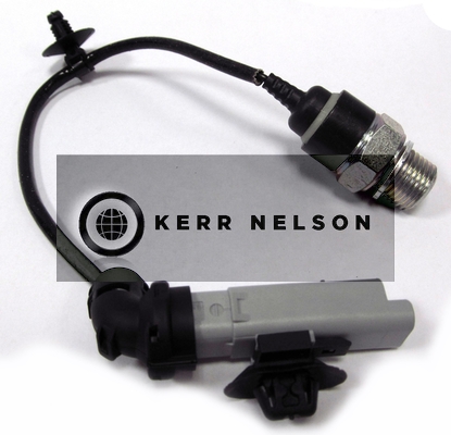 Kerr Nelson SOP156