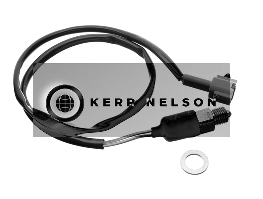 Kerr Nelson SRL079