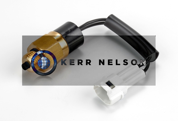 Kerr Nelson SRL099