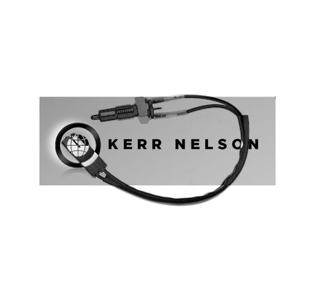 Kerr Nelson SRL119