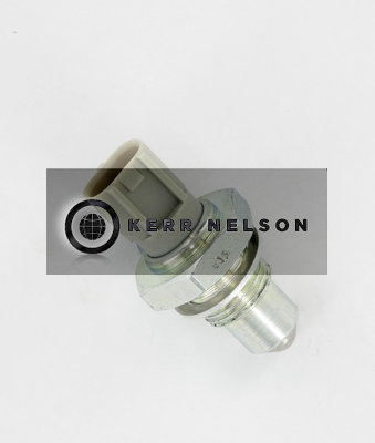 Kerr Nelson SRL168