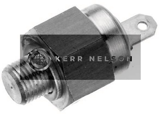 Kerr Nelson STS017