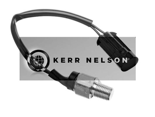 Kerr Nelson STS043