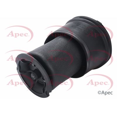 Apec Air Suspension Spring Rear AAS1011 [PM2039084]