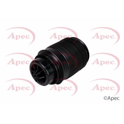 Apec Air Suspension Spring Rear Right AAS1007 [PM2039080]