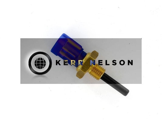 Kerr Nelson EAT049