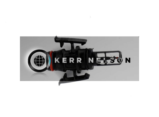 Kerr Nelson ECS142