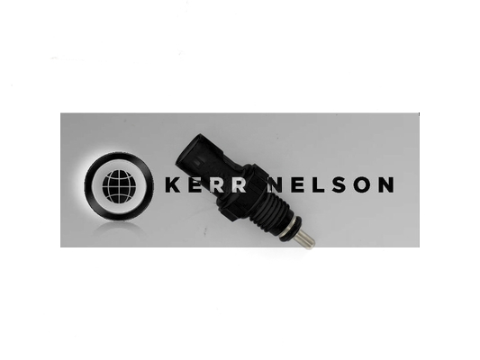 Kerr Nelson ECS169